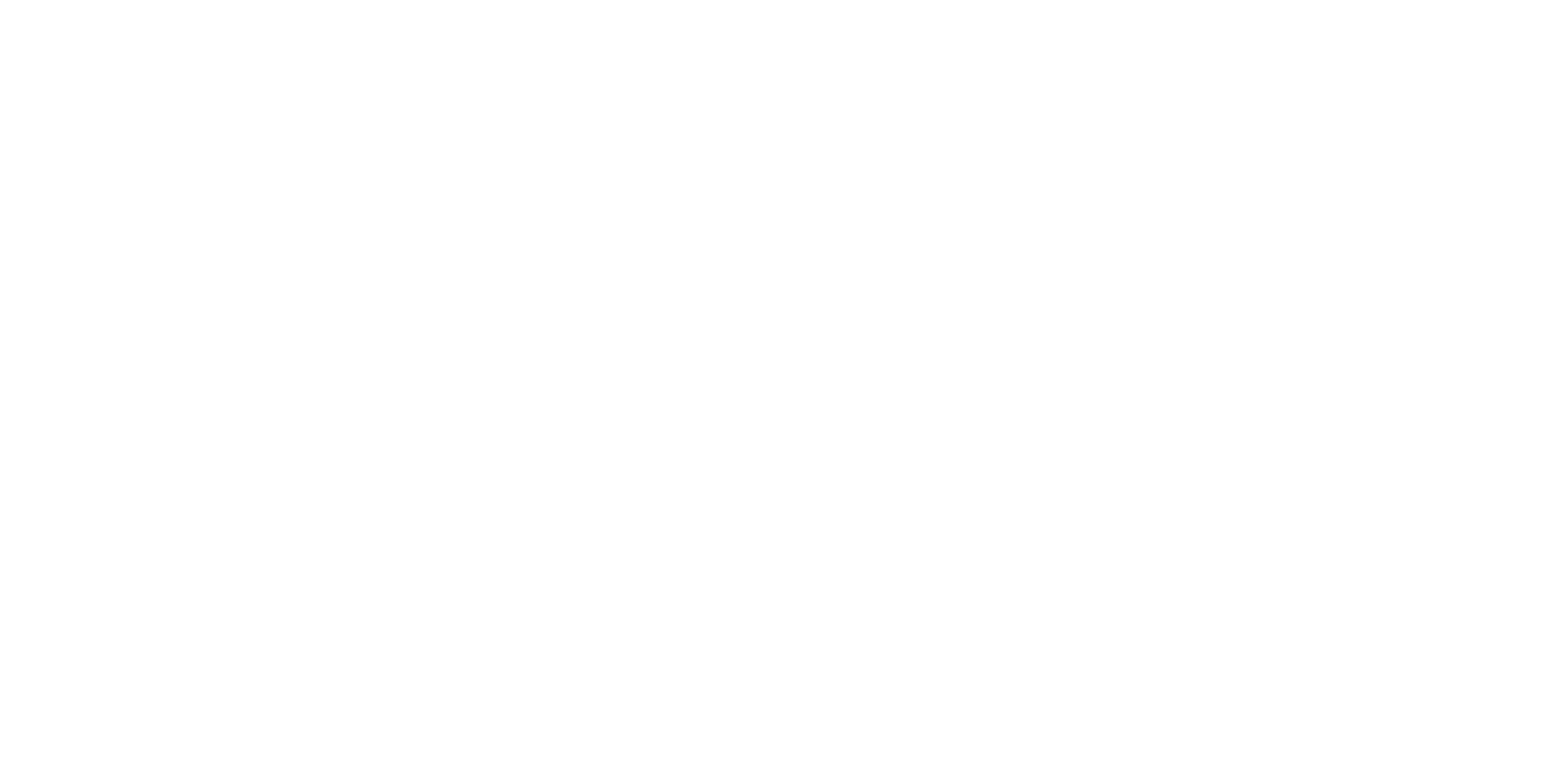 Dev Vision