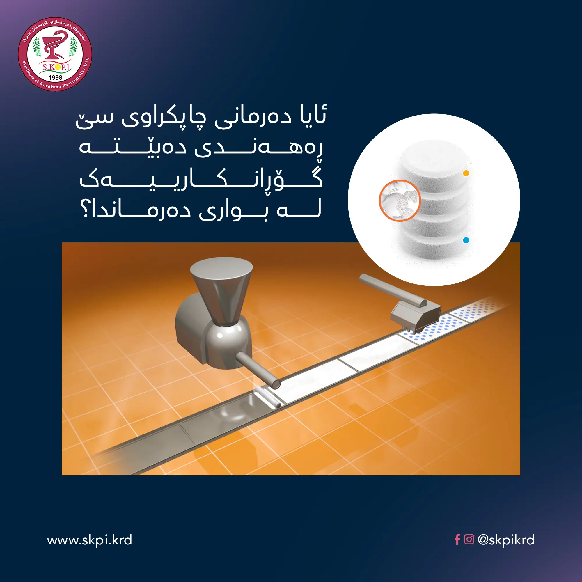 Syndicate of Kurdistan Pharmacists — Project image 10