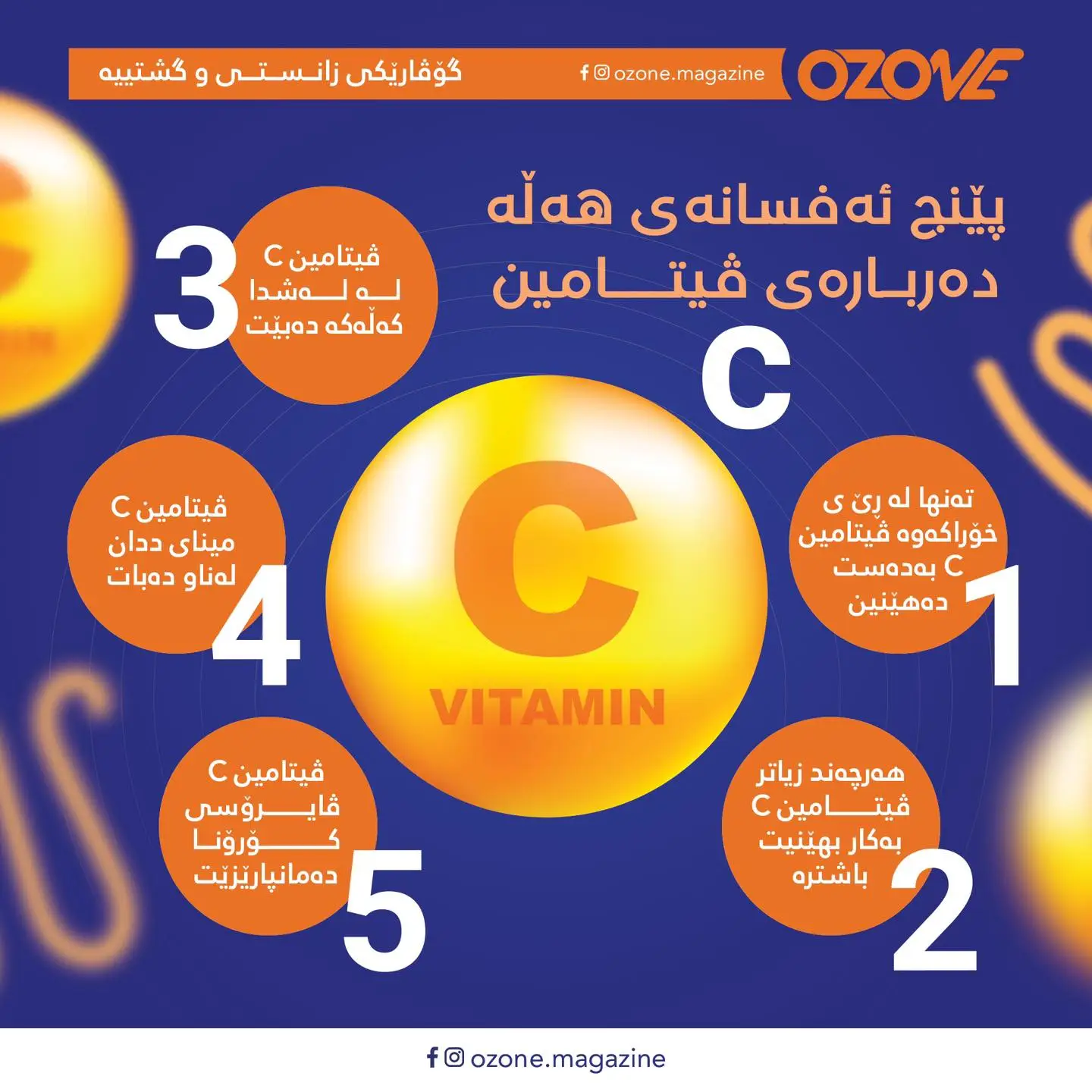 Ozone Scientific Magazine — Project image 7